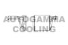 AUTOGAMMA 102480 Heat Exchanger, interior heating